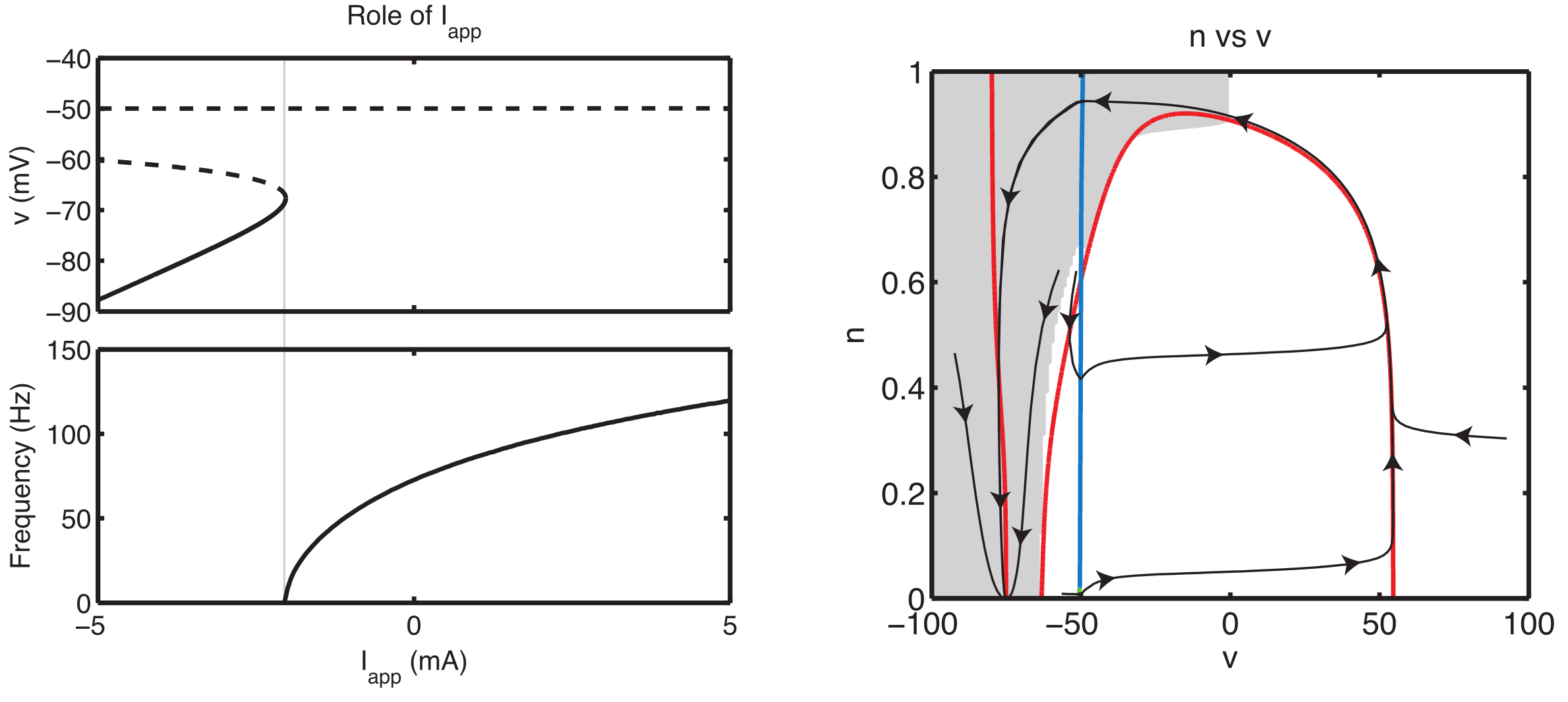 Dynamical systems analysis of action potential model